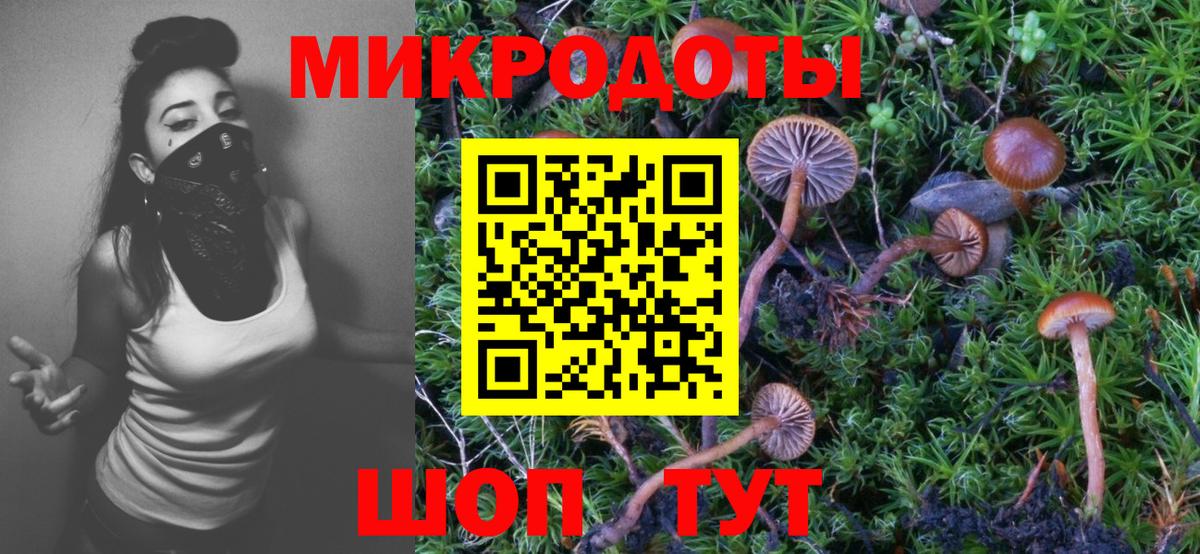 Псилоцибиновые грибы GOLDEN TEACHER  Галлюциногенные грибы GOLDEN TEACHER  Вход с VPN  Петрозаводск 