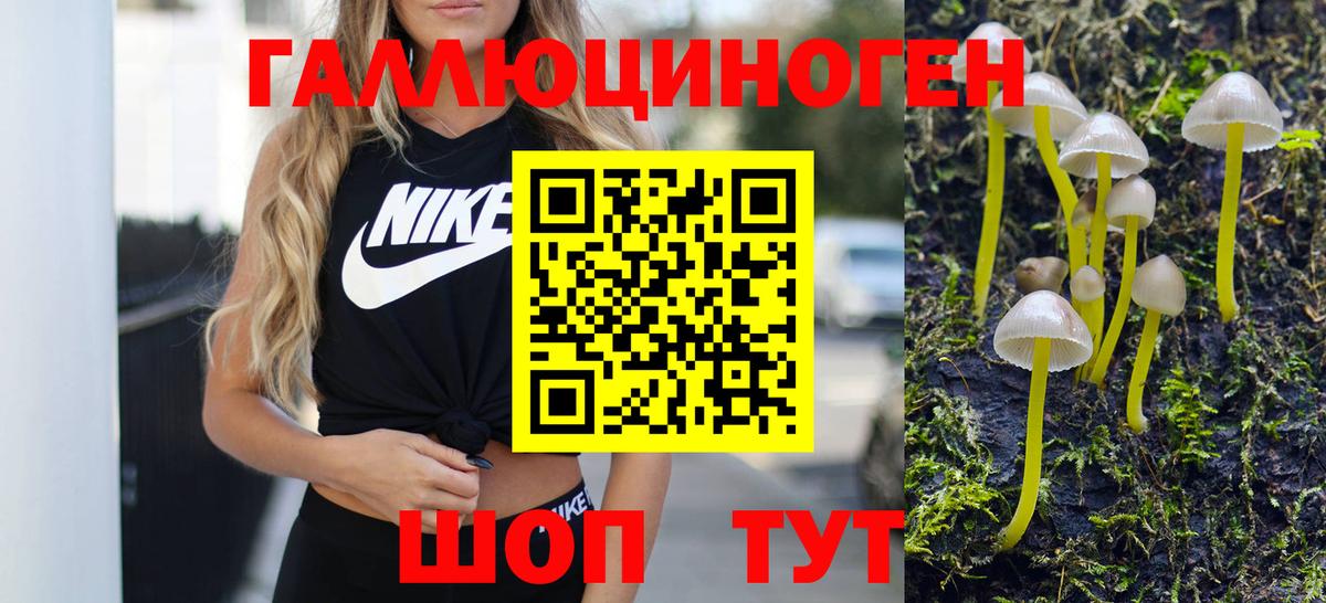Псилоцибиновые грибы Петрозаводск