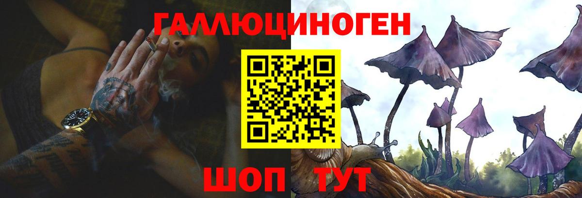 Псилоцибиновые грибы MAGIC MUSHROOMS Петрозаводск